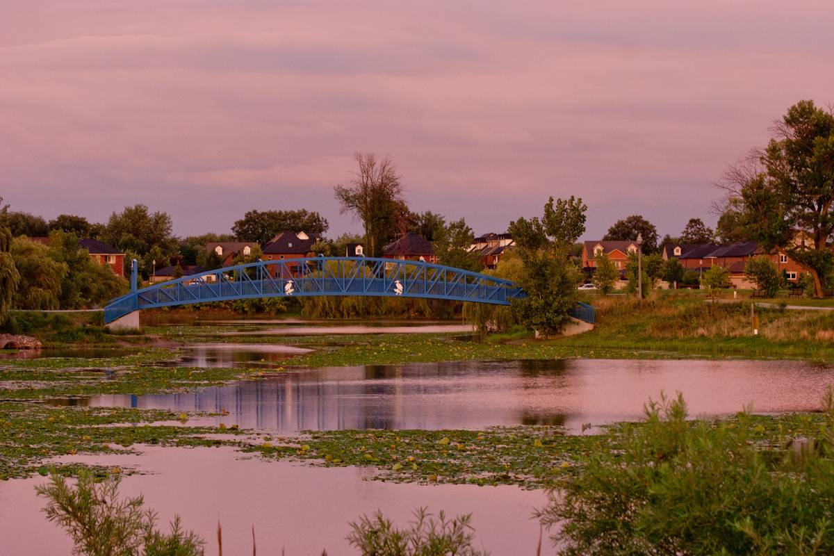 Blue Heron Lake