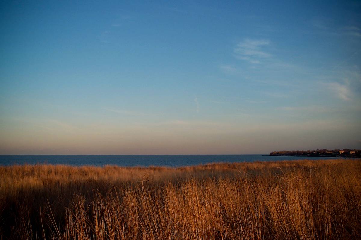 Yellowing meadows line Lake Ontario in the sunset