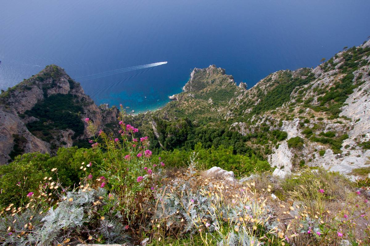 A view from Monte Solarno