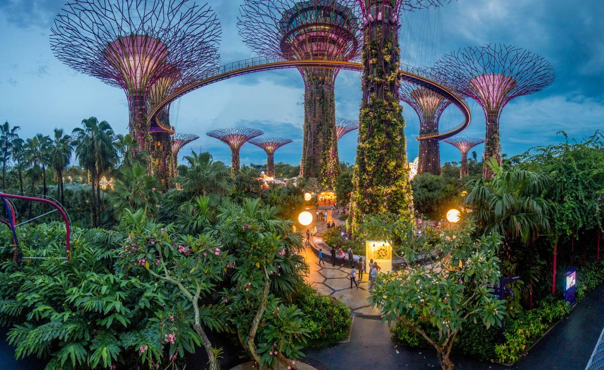 Supertrees Grove at the Gardens by the Bay