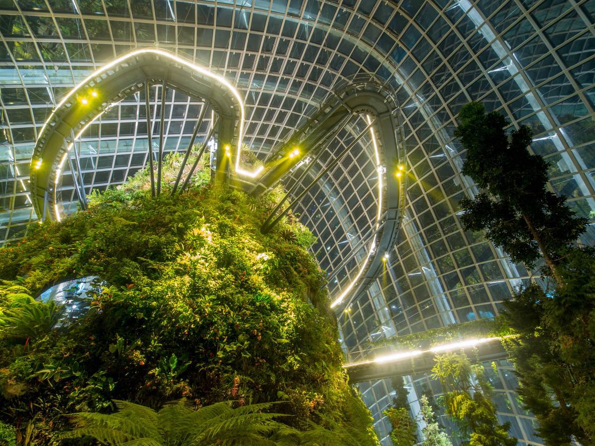 Inside the Cloud Forest