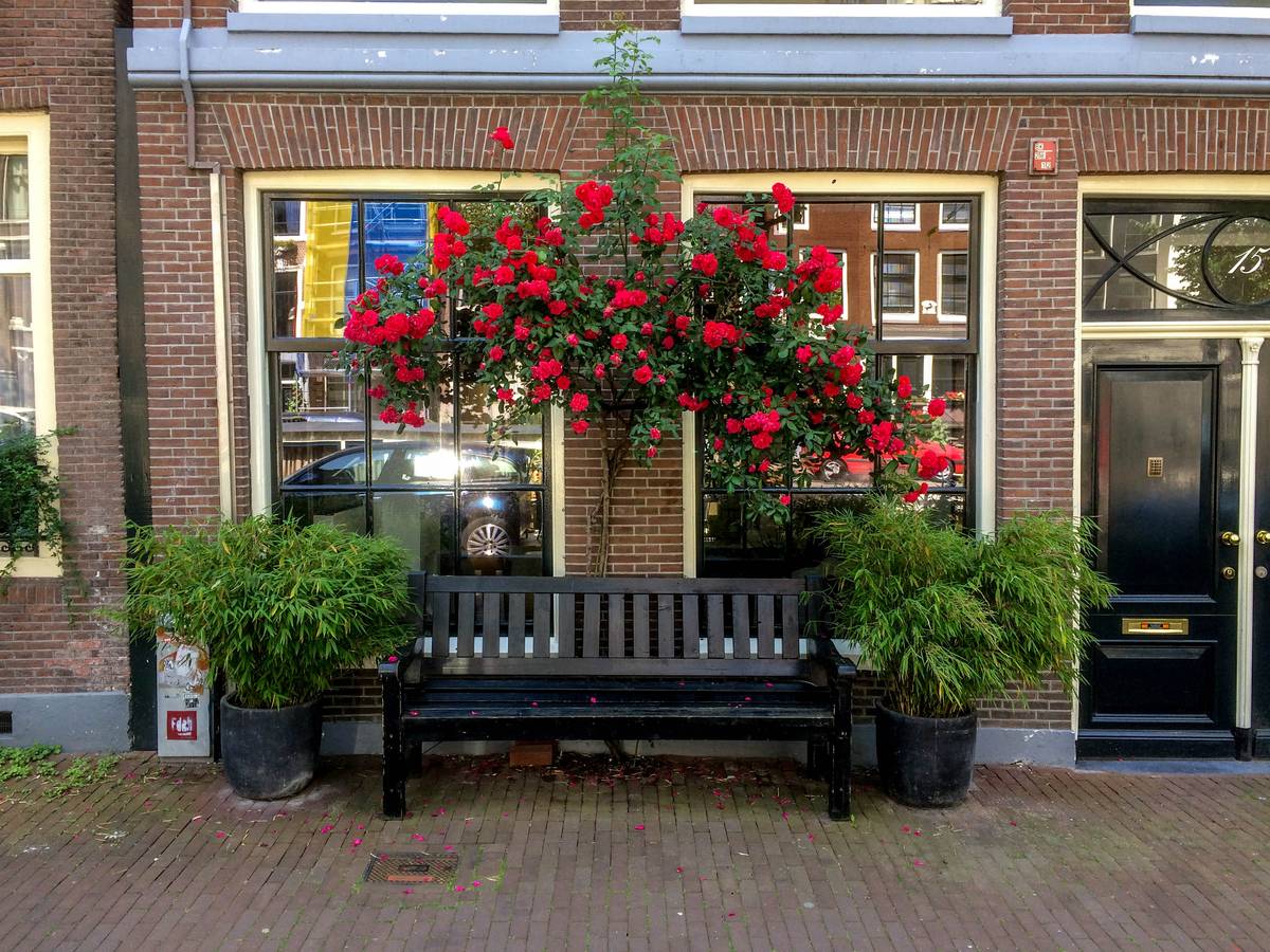 A stop at Amsterdam en route to Singapore