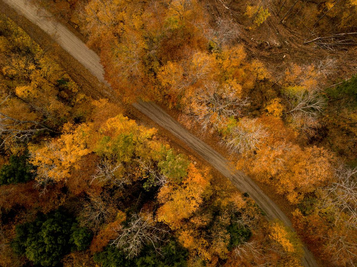 Into autumn