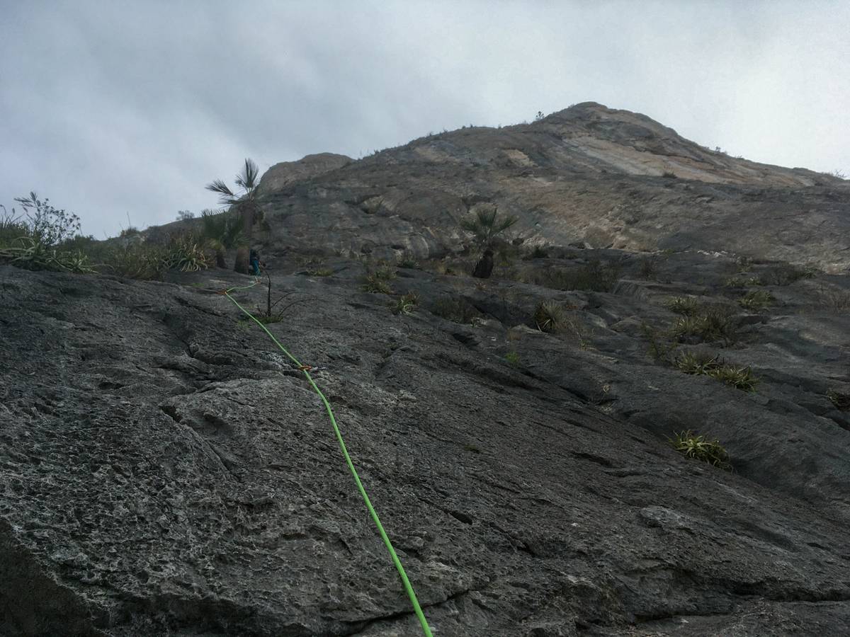 Patrick at the palm tree belay
