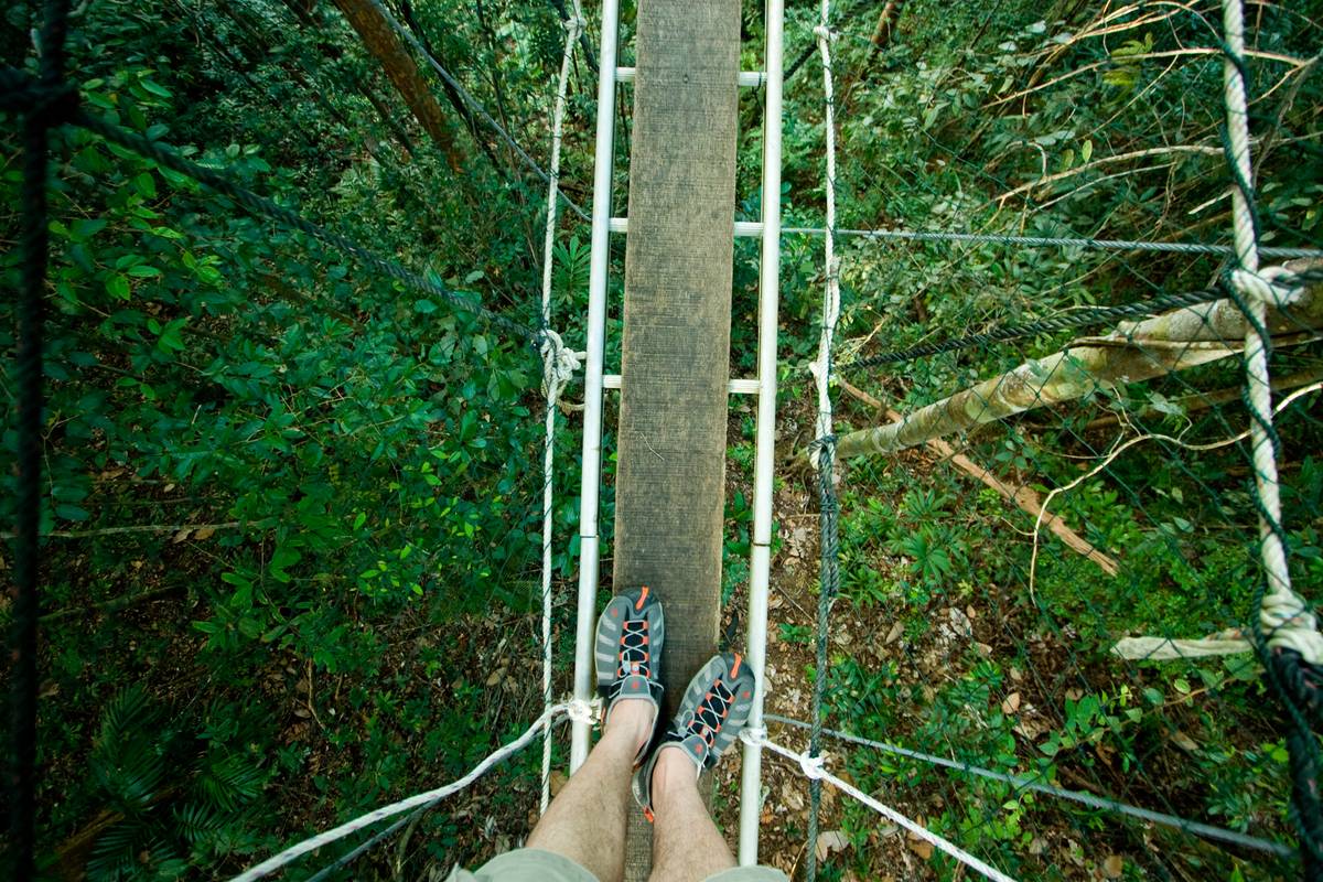 Canopoy walk.