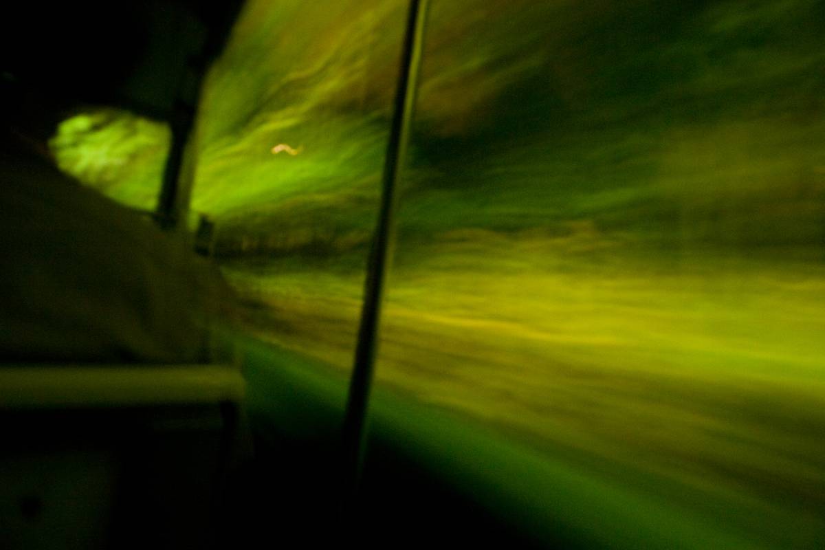 Riding the tram through Singapore&rsquo;s Night Safari