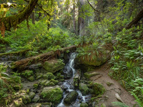 Northern California