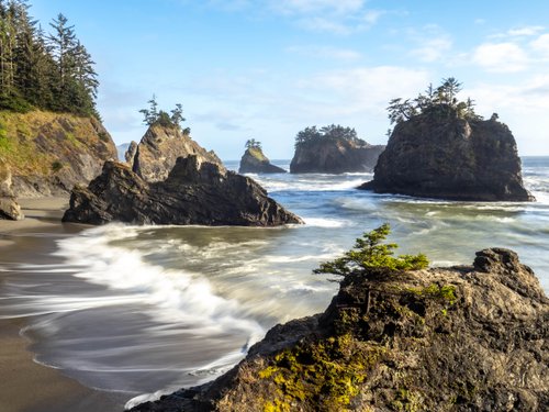 The Oregon Coast