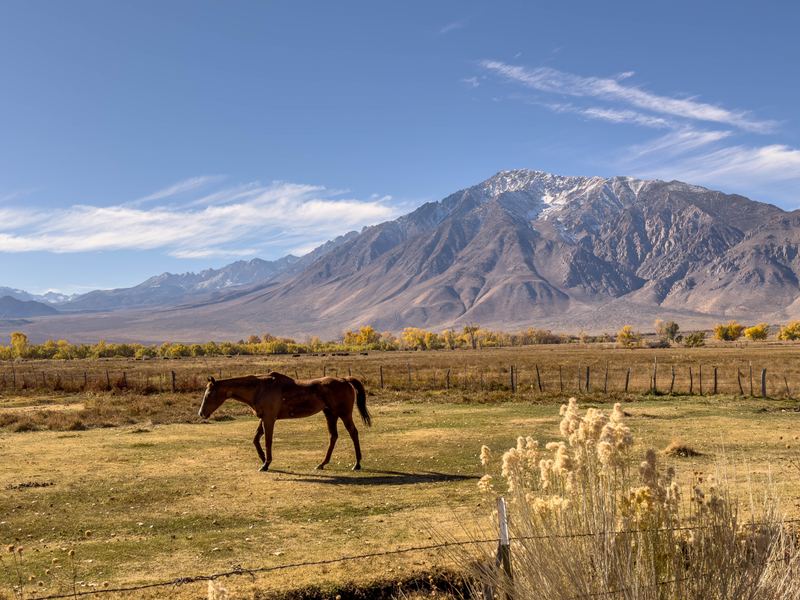 Round Valley