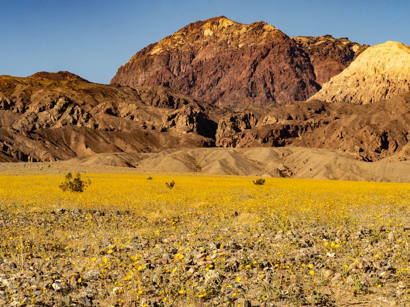 Death Valley in Spring