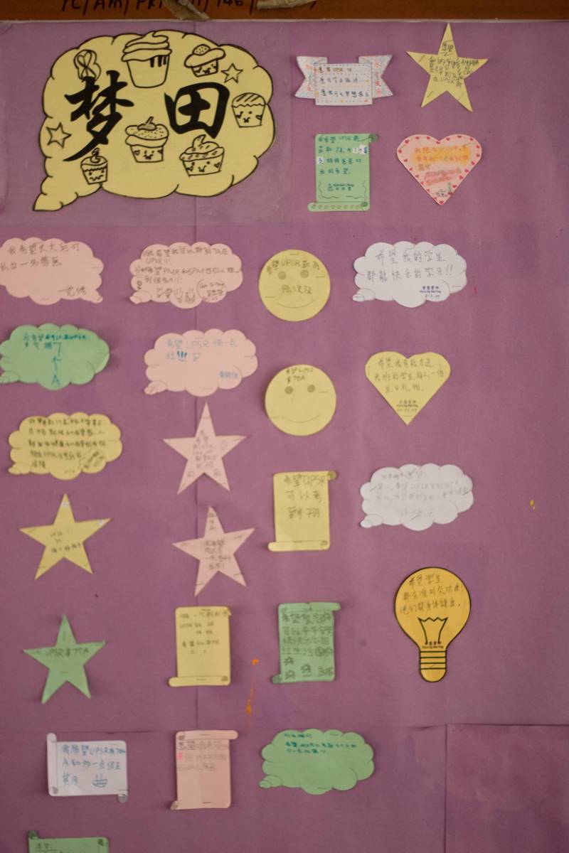 Dreams and hopes of 12-year-olds.