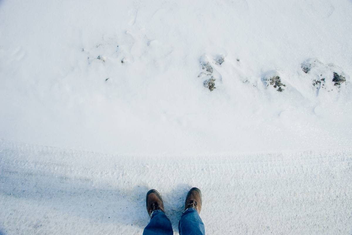 Me standing on tire tracks
