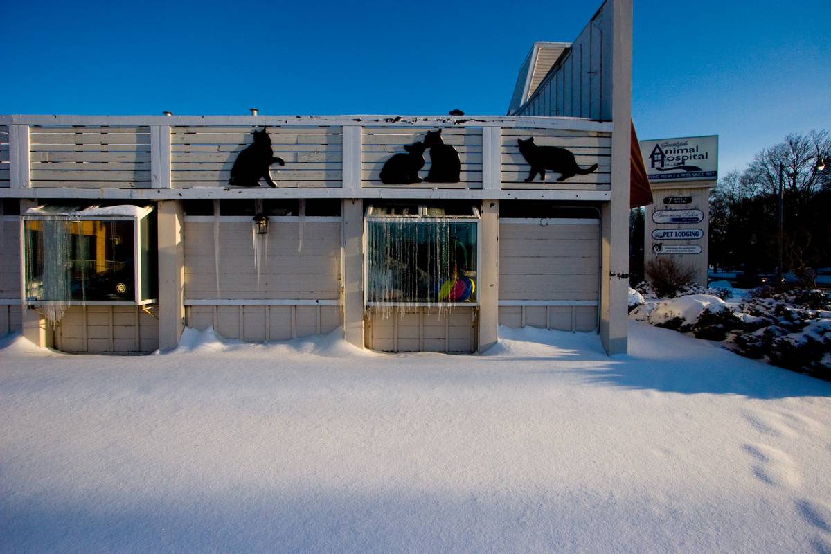 Icicles forming on the windows of a veterinarian office