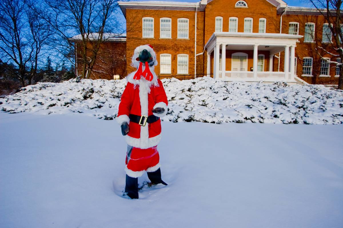 The Bear (as Geulph Greyhound riders would refer to) dressed up in Santa costume in preparation for the season