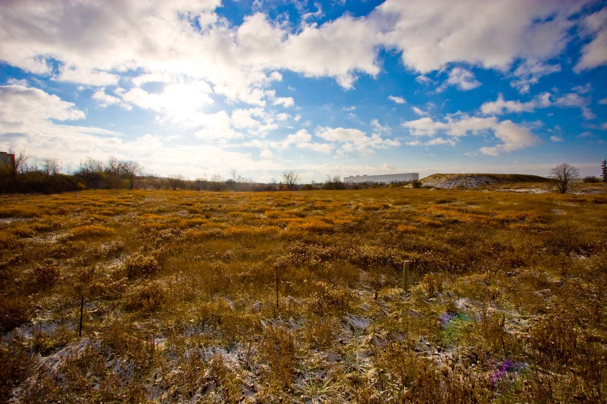 Meadows stick out from the ground stained with snowy patches, morning winter sun causing some flare on the view