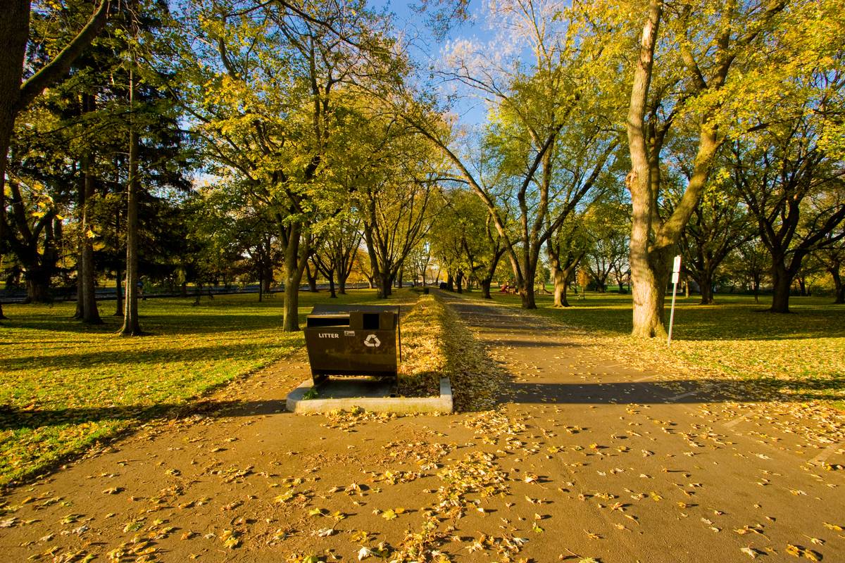 A path leading into the park, with a segregated bike path on the left and one-way automobile traffic on the right. A trash can greets visitors