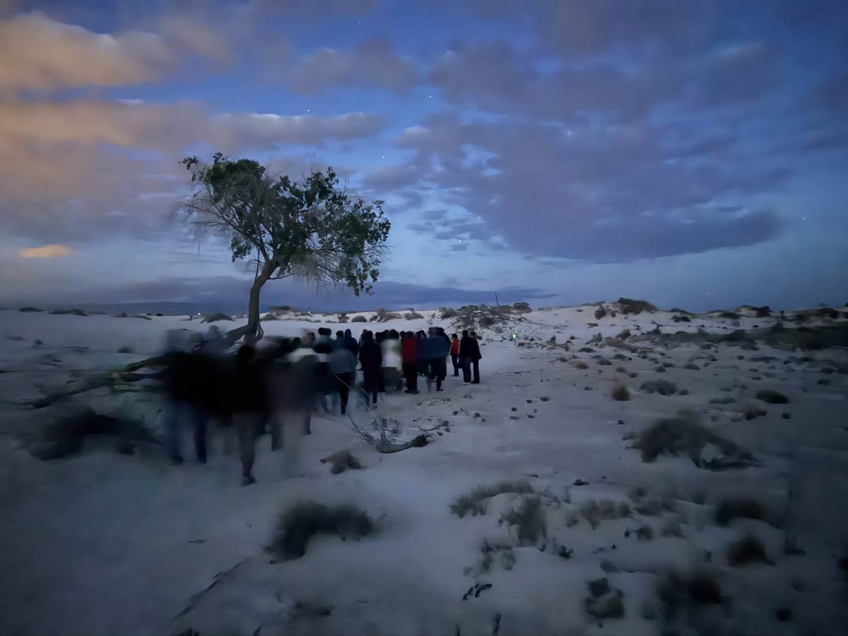 Visitors gathered under a cottonwood tree as the ranger explained how it survives the desert environment and how animals take shelter in it