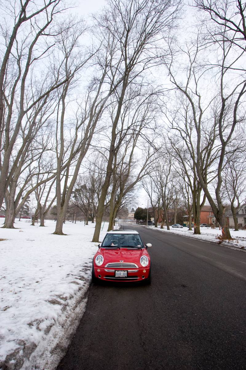 BMW MINI in a park covered in snow