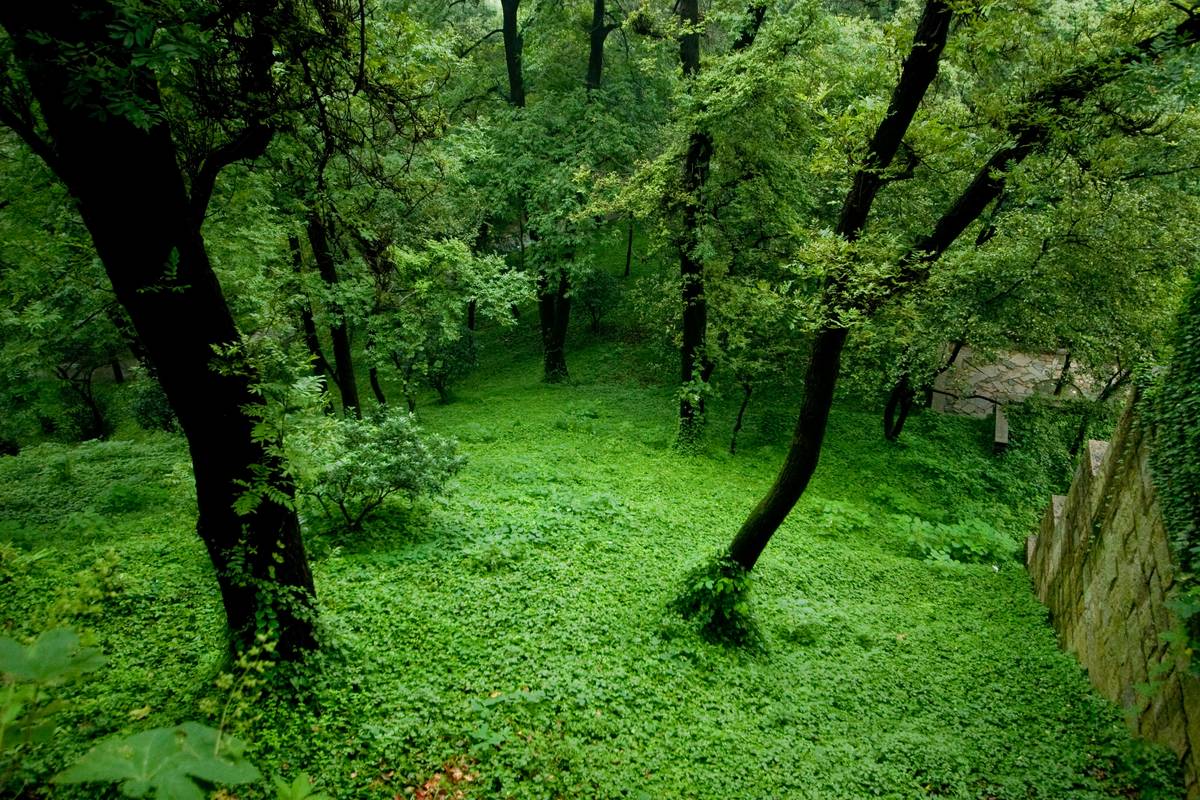 Behind Tiger Hill