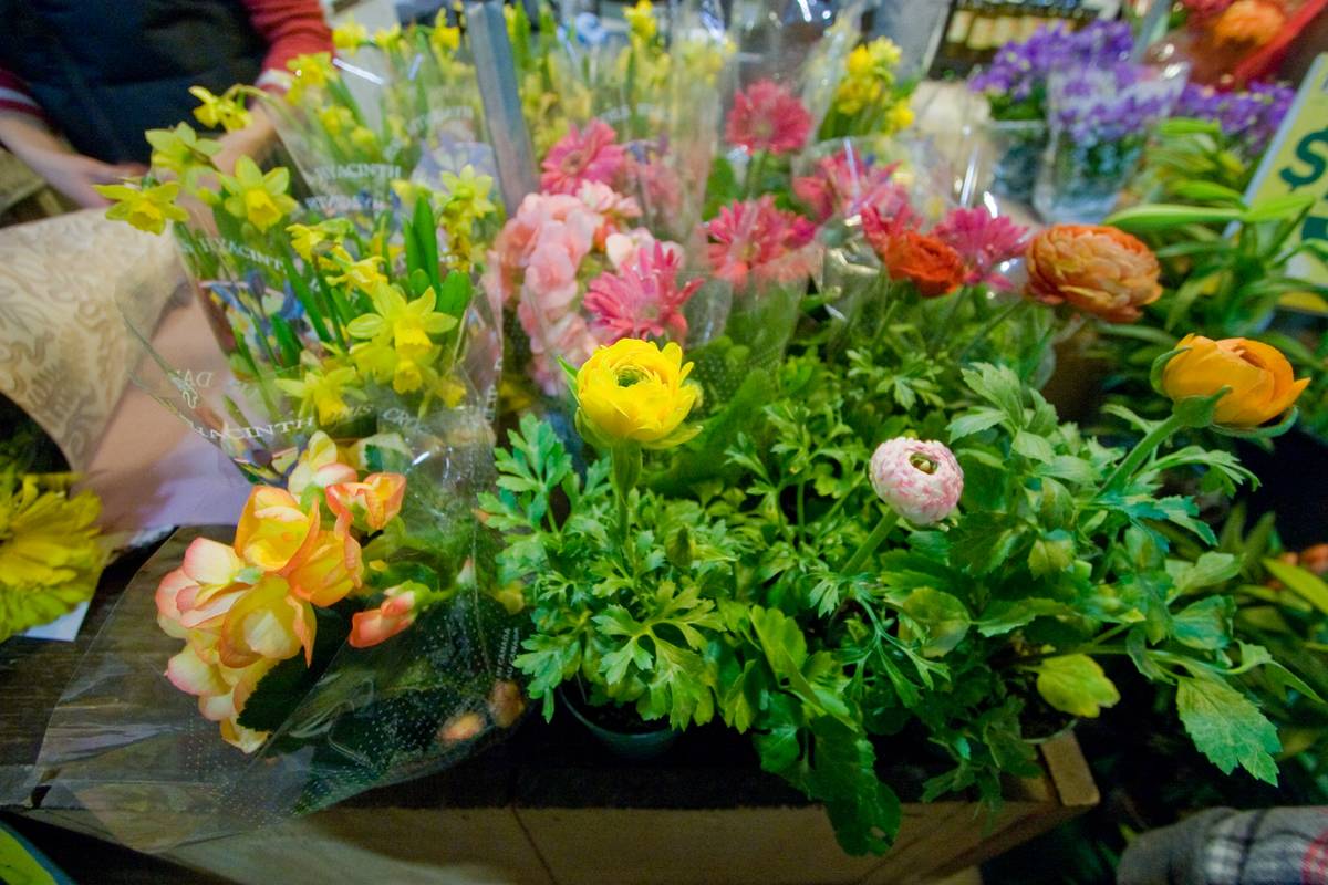Young planters for sale in the Farmers&rsquo; Market.