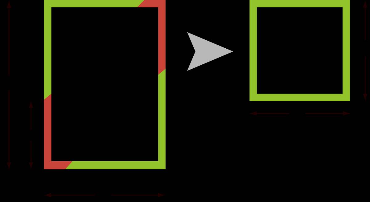 Schematic view of how the dissection will be carried out