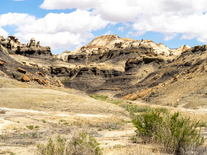 New Mexico