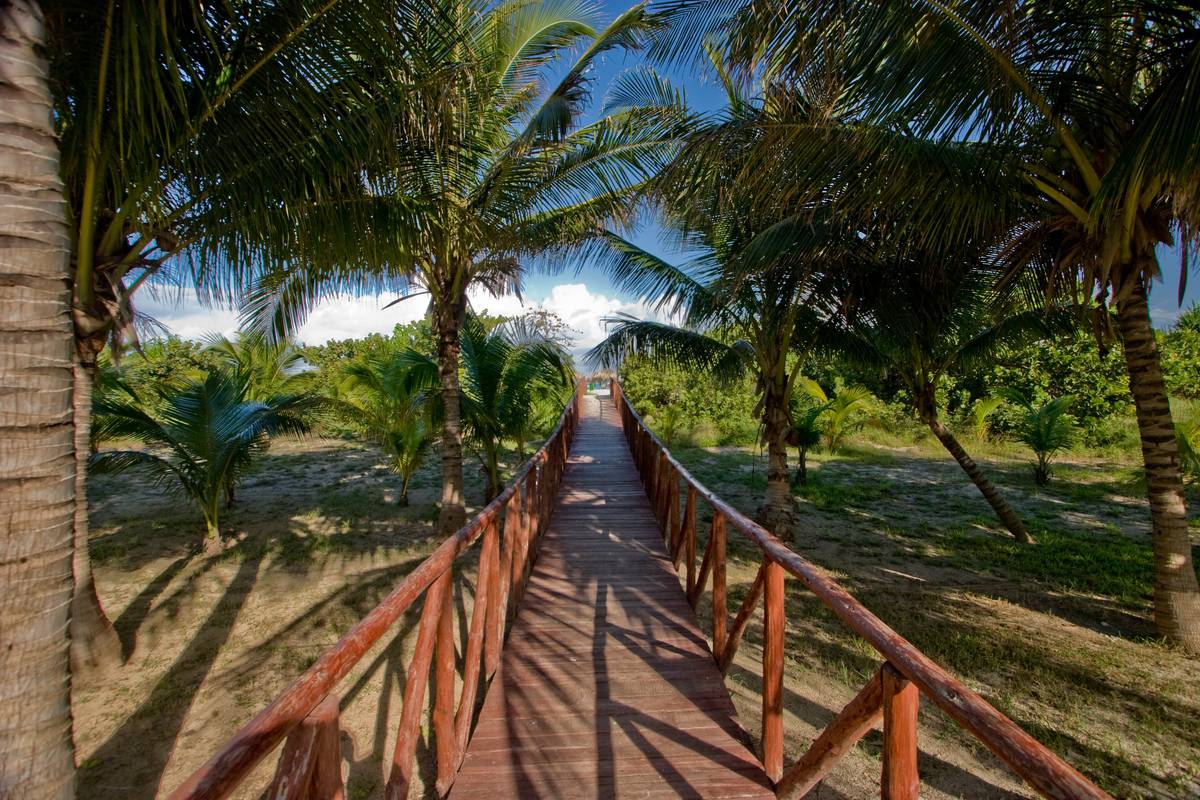 A bridge connecting the hotel we stayed at to the beach, forming a 