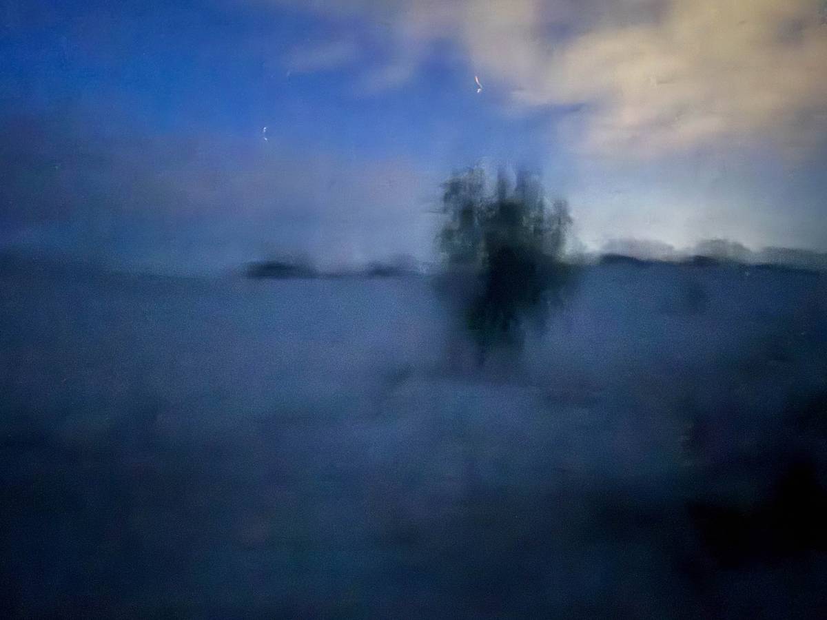 An accidental shot, but I like its abstract quality