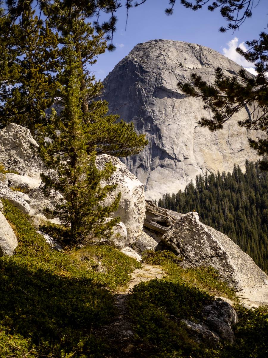 Fairview Dome from DAFF (Dome Across From Fairview)
